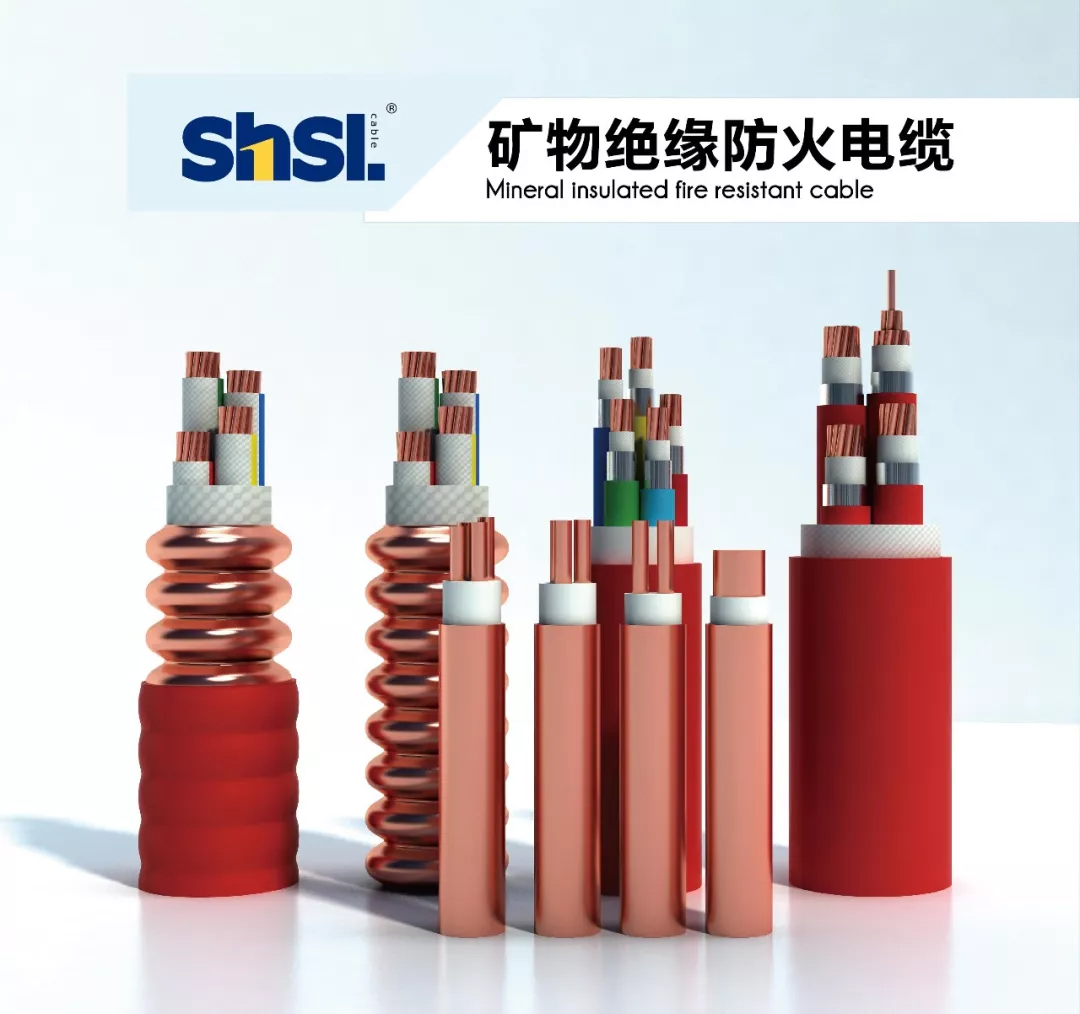 1570502409677052.jpg 区政协主席陈勇章一行莅临上海浦东电线电缆集团2.jpg